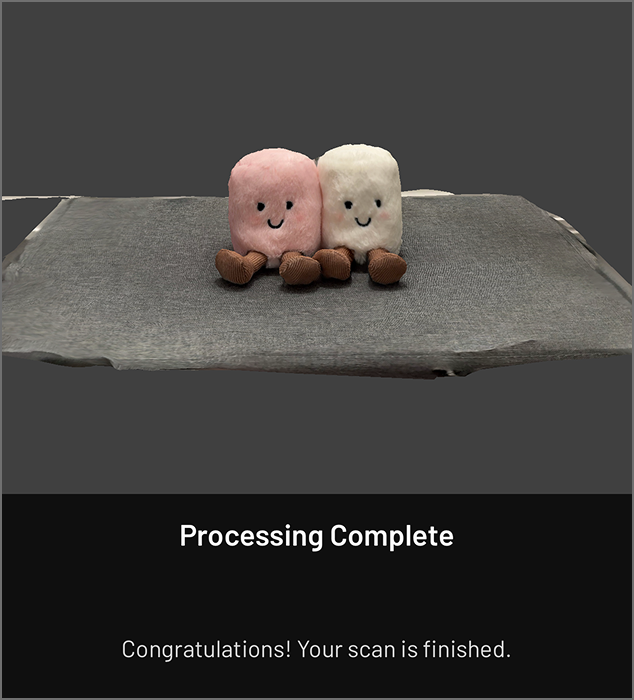 First attempt to scan is complete.